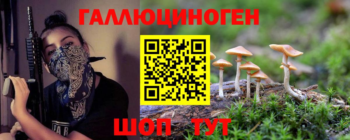 Псилоцибиновые грибы мицелий Азов